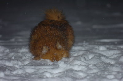 Feb25_07_075.JPG