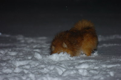 Feb25_07_084.JPG
