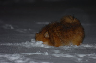 Feb25_07_086.JPG