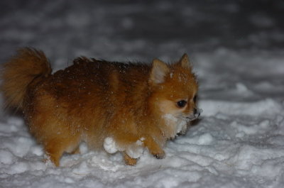 Feb25_07_090.JPG