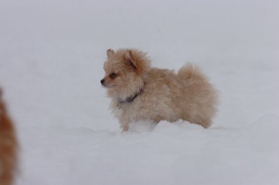 Feb26_07_516.JPG