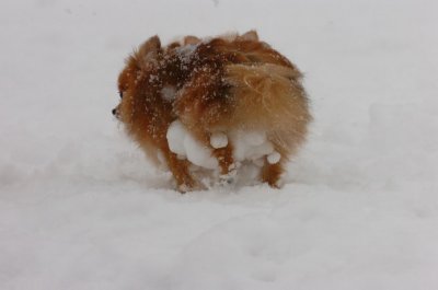 Feb26_07_517.JPG