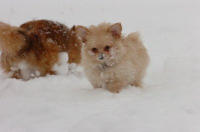 Feb26_07_518.JPG