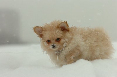 Feb26_07_520.JPG