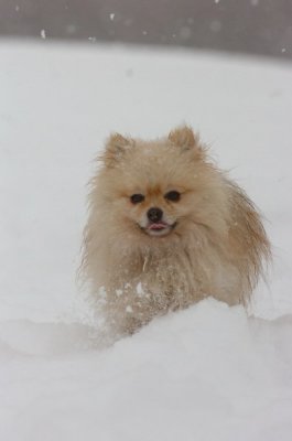 Feb26_07_521.JPG