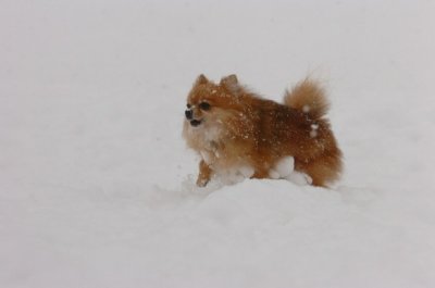 Feb26_07_523.JPG
