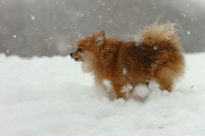 Feb26_07_525.JPG