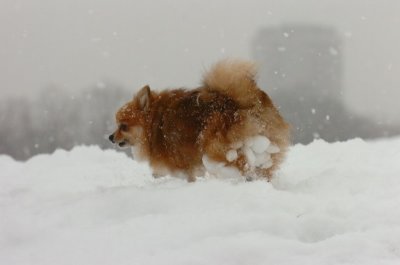 Feb26_07_526.JPG