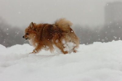 Feb26_07_527.JPG