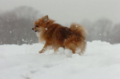 Feb26_07_528.JPG