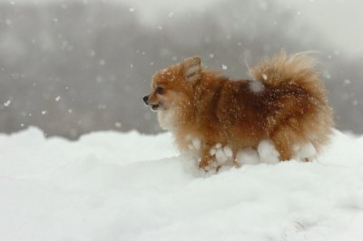 Feb26_07_529.JPG
