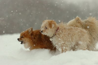 Feb26_07_530.JPG