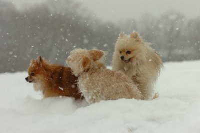 Feb26_07_532.JPG