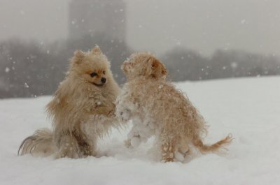 Feb26_07_535.JPG