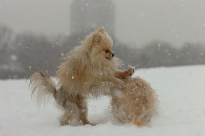 Feb26_07_539.JPG
