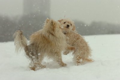 Feb26_07_540.JPG