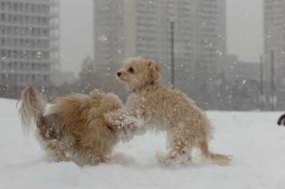 Feb26_07_542.JPG