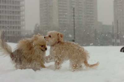 Feb26_07_543.JPG