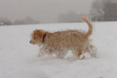 Feb26_07_545.JPG