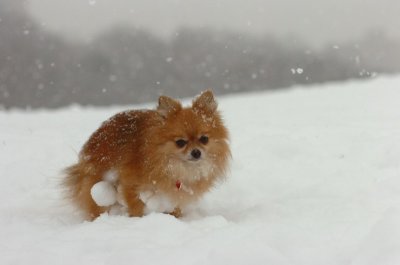 Feb26_07_548.JPG