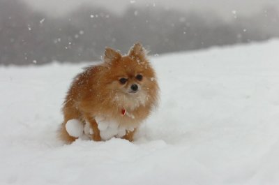 Feb26_07_549.JPG