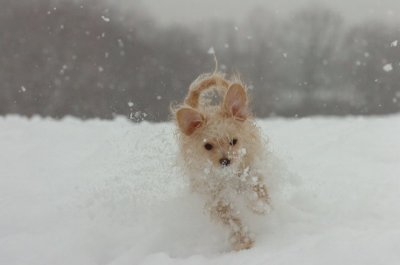 Feb26_07_550.JPG