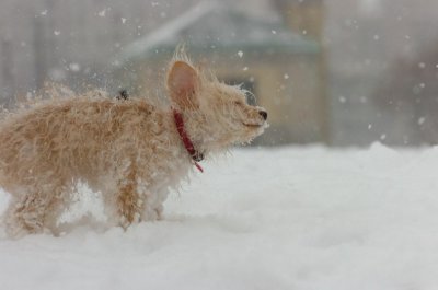 Feb26_07_570.JPG