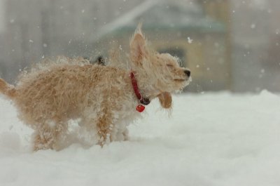 Feb26_07_571.JPG
