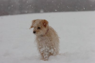 Feb26_07_580.JPG