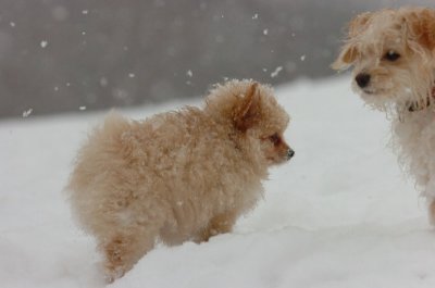 Feb26_07_581.JPG