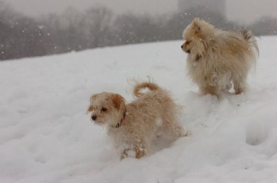 Feb26_07_583.JPG