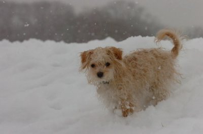 Feb26_07_584.JPG
