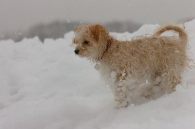 Feb26_07_585.JPG