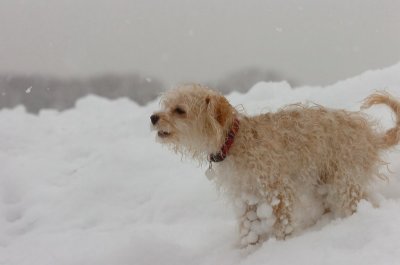 Feb26_07_586.JPG