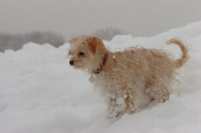 Feb26_07_587.JPG