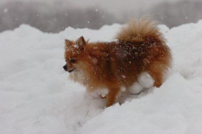 Feb26_07_588.JPG