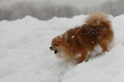 Feb26_07_589.JPG