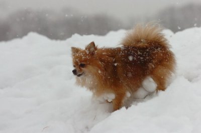 Feb26_07_590.JPG