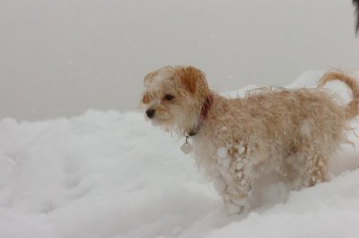 Feb26_07_591.JPG
