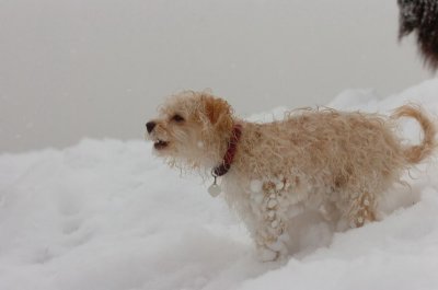 Feb26_07_592.JPG