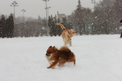 Feb26_07_597.JPG