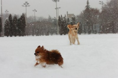 Feb26_07_598.JPG