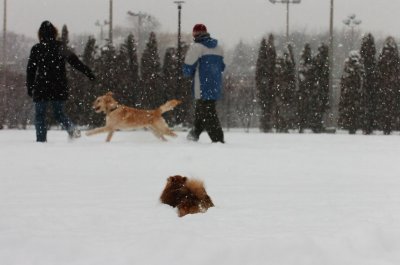 Feb26_07_599.JPG