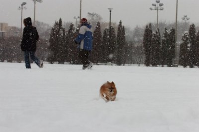 Feb26_07_600.JPG