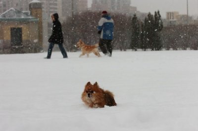 Feb26_07_601.JPG