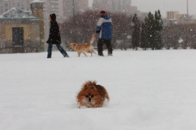 Feb26_07_602.JPG