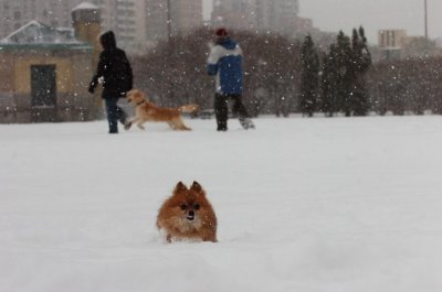 Feb26_07_603.JPG