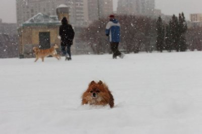 Feb26_07_604.JPG