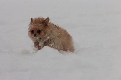 Feb26_07_610.JPG