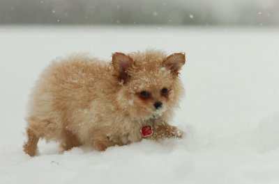 Feb26_07_613.JPG